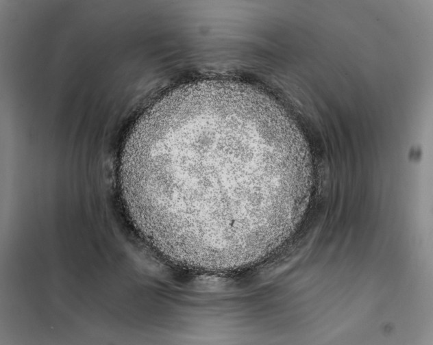 X0000101110699200807241136