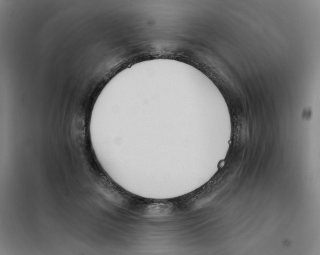X0000101110700200807241136