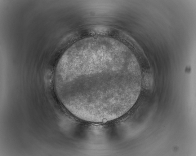 X0000101110701200807241136