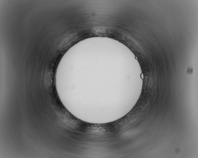 X0000101110702200807241136