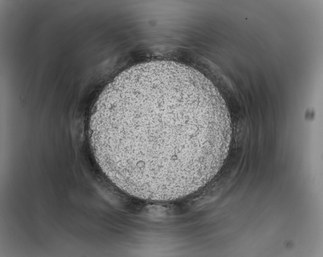 X0000101110703200807241136