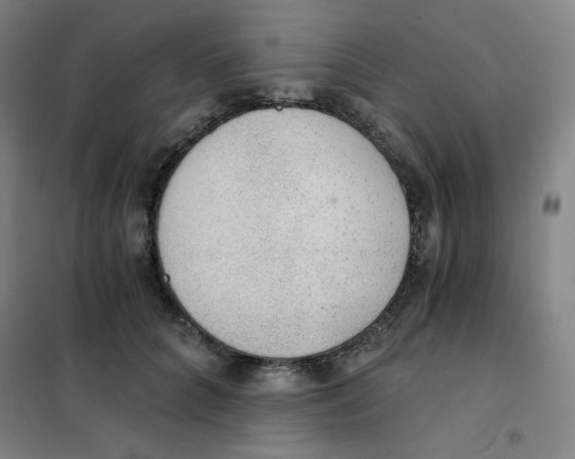 X0000101110704200807241136