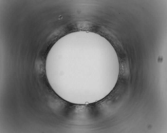 X0000101110705200807241136
