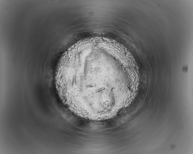 X0000101110707200807241136