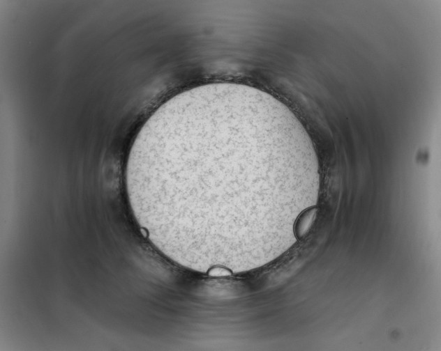 X0000101110708200807241135