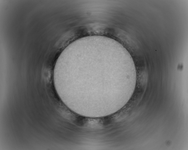 X0000101110709200807241135