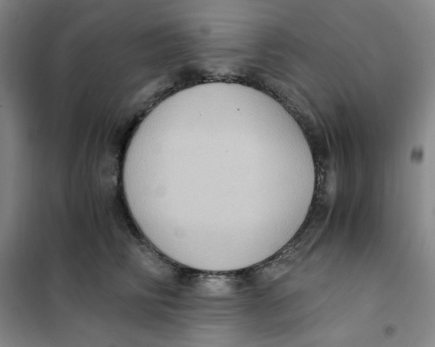 X0000101110710200807241135