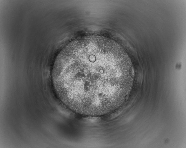 X0000101110711200807241135