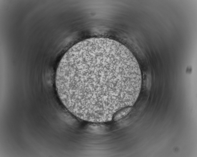 X0000101110712200807241135