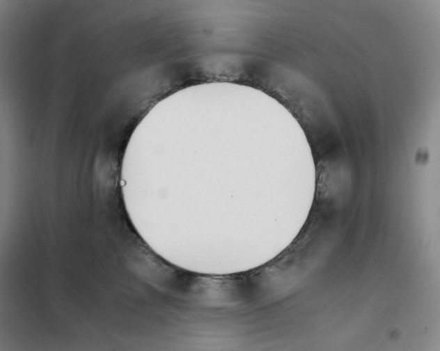 X0000101110713200807241135