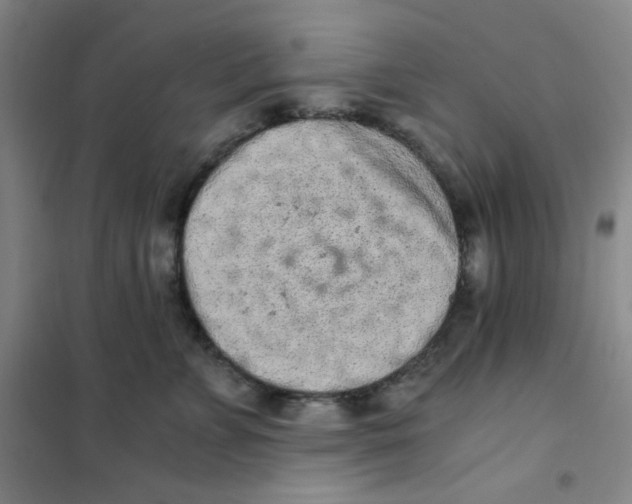 X0000101110715200807241135