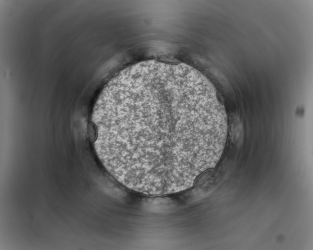 X0000101110716200807241135