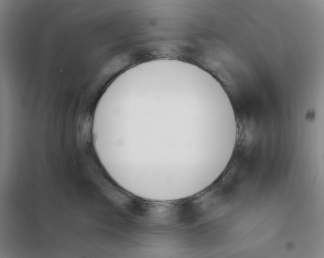 X0000101110717200807241135