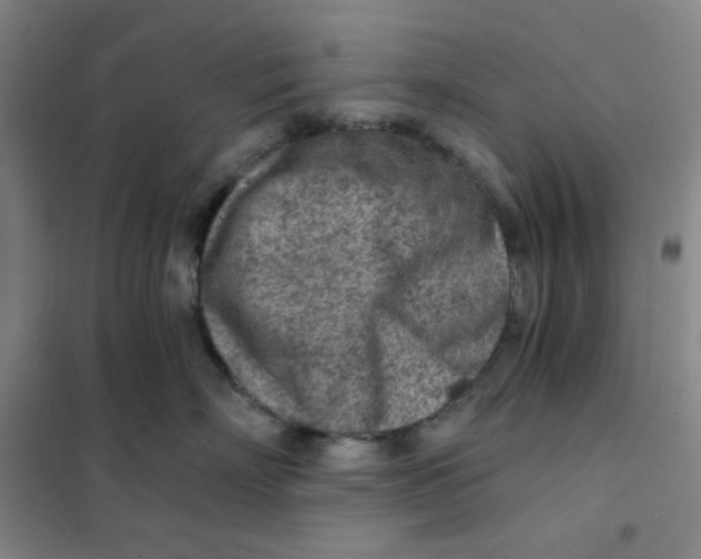 X0000101110718200807241135