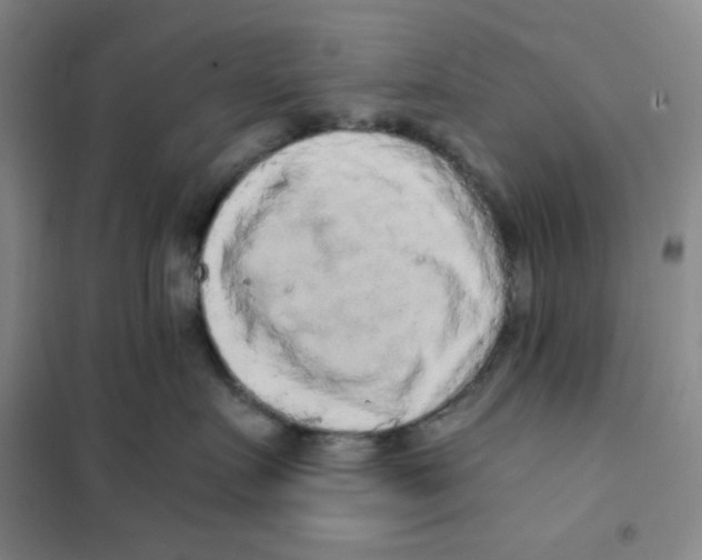 X0000101110719200807241135