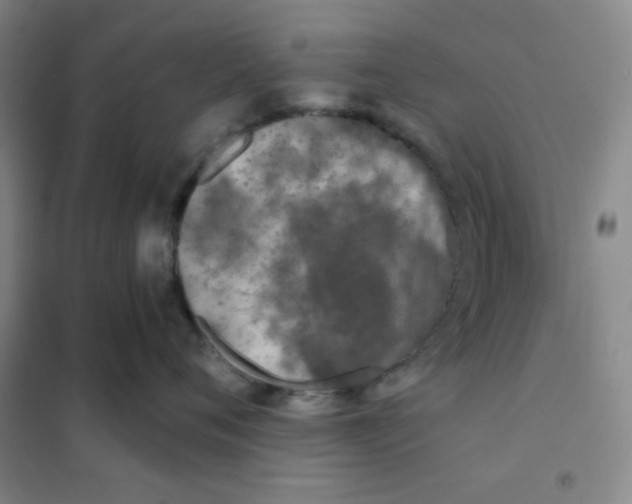 X0000101110720200807241135