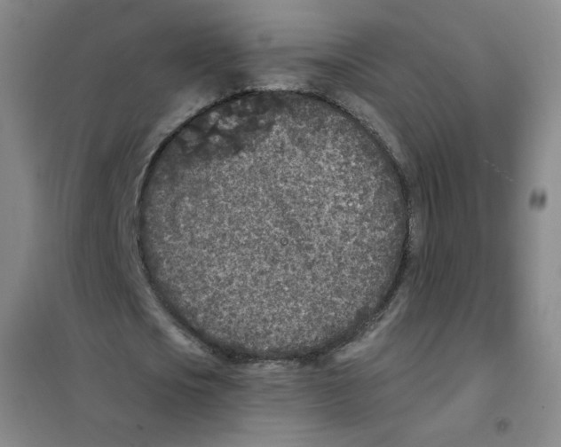 X0000101110721200807241134