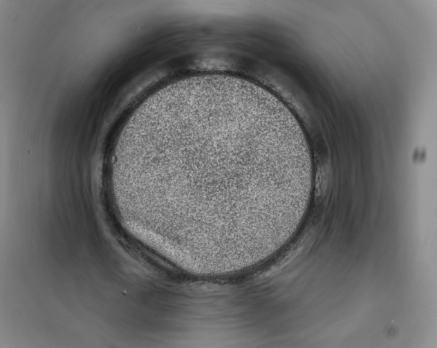 X0000101110722200807241135