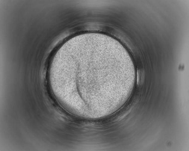 X0000101110723200807241135