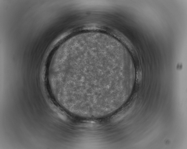 X0000101110724200807241135