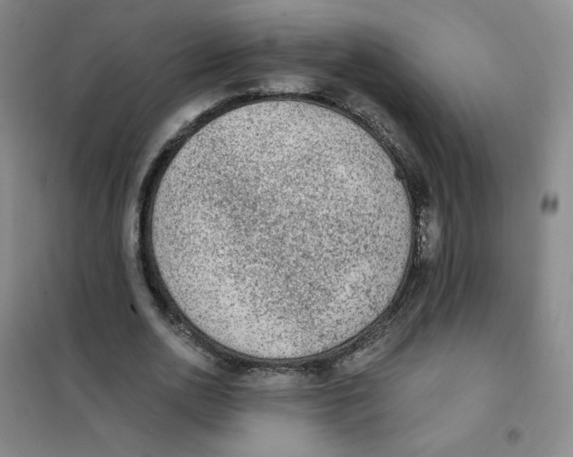 X0000101110726200807241135