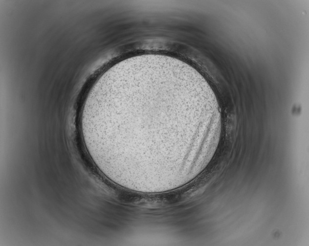 X0000101110727200807241135