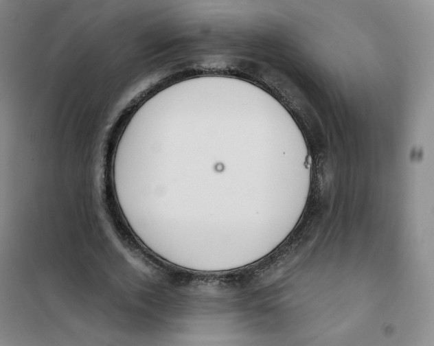 X0000101110728200807241135