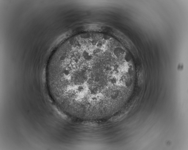 X0000101110729200807241135