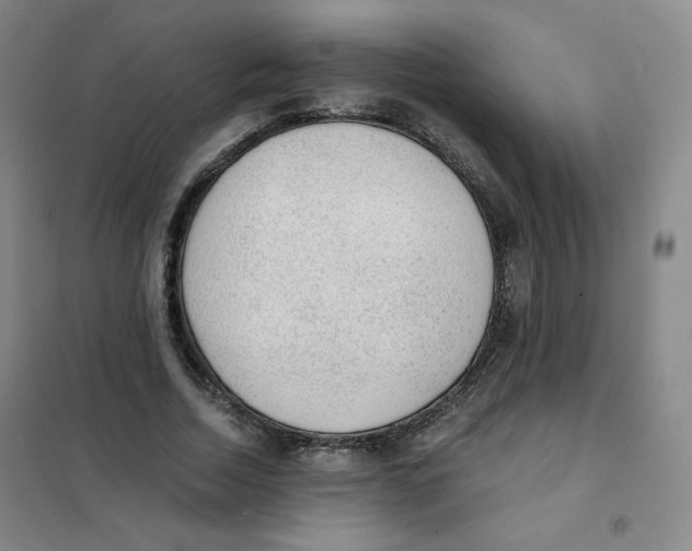 X0000101110730200807241135