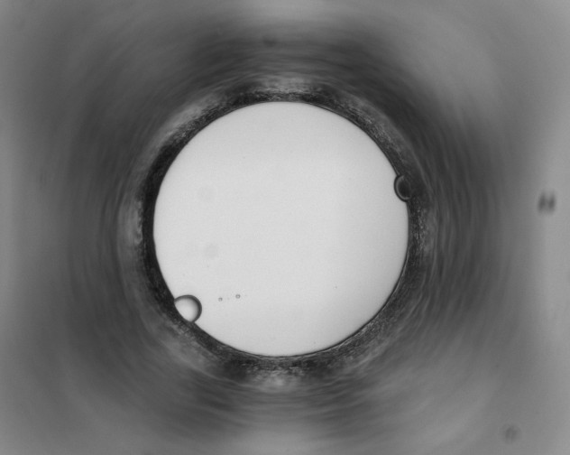 X0000101110731200807241135