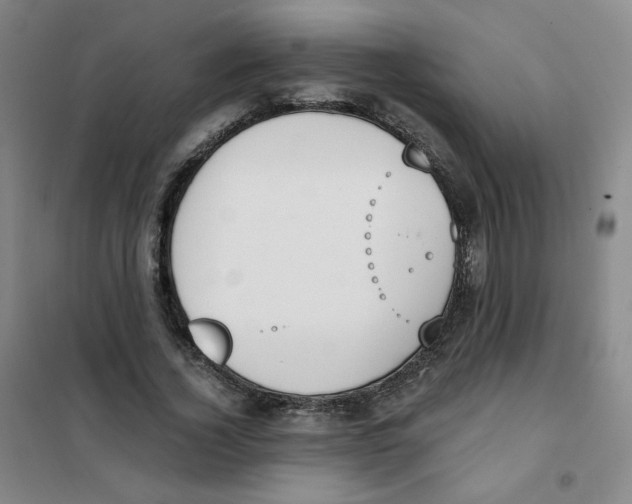 X0000101110732200807241135