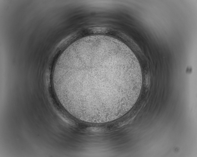 X0000101110733200807241135