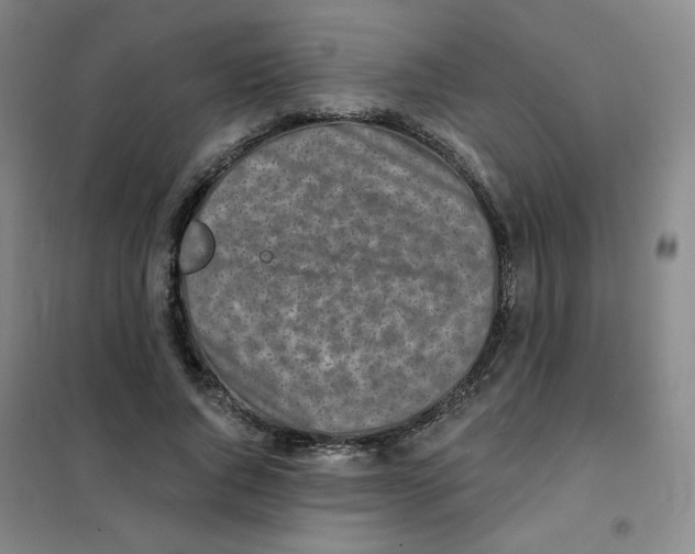 X0000101110736200807241135