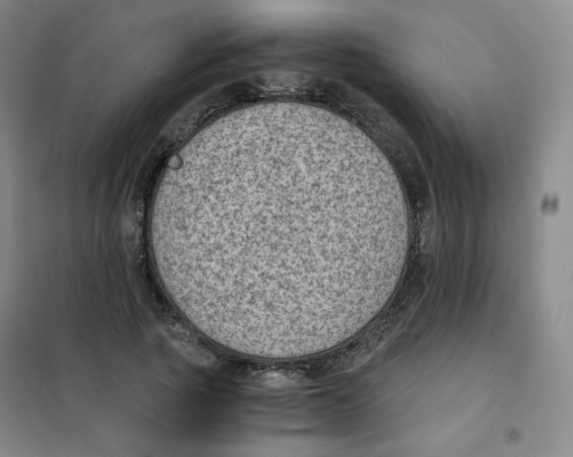 X0000101110737200807241135