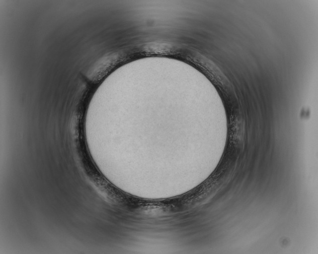 X0000101110738200807241135