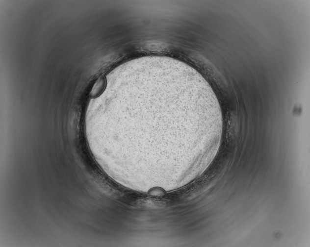 X0000101110739200807241135
