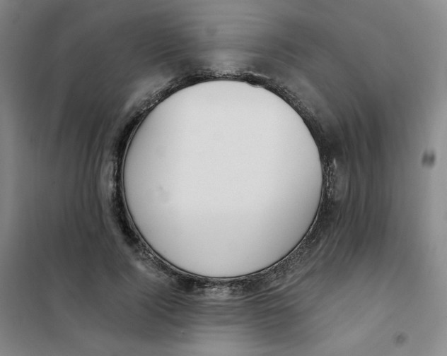X0000101110740200807241135