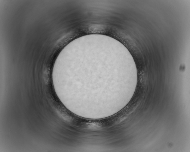 X0000101110741200807241135