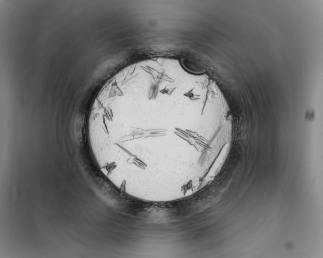X0000101110742200807241135