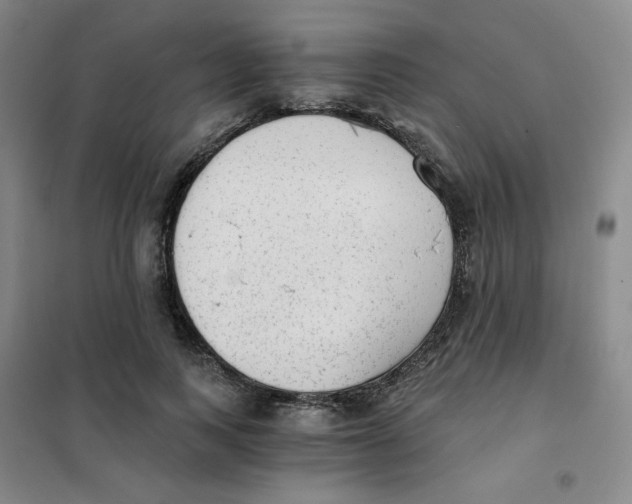 X0000101110743200807241135