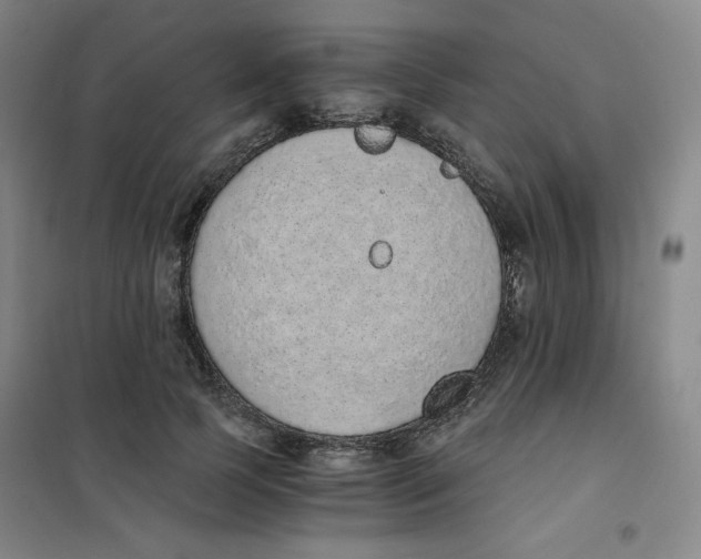 X0000101110745200807241135