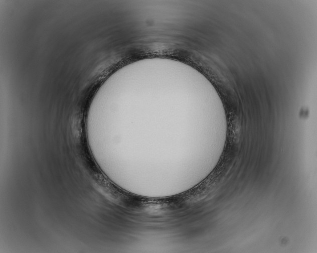 X0000101110746200807241135