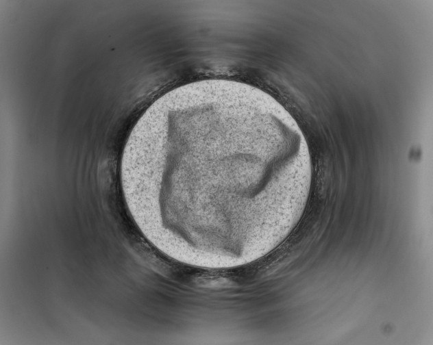 X0000101110747200807241135