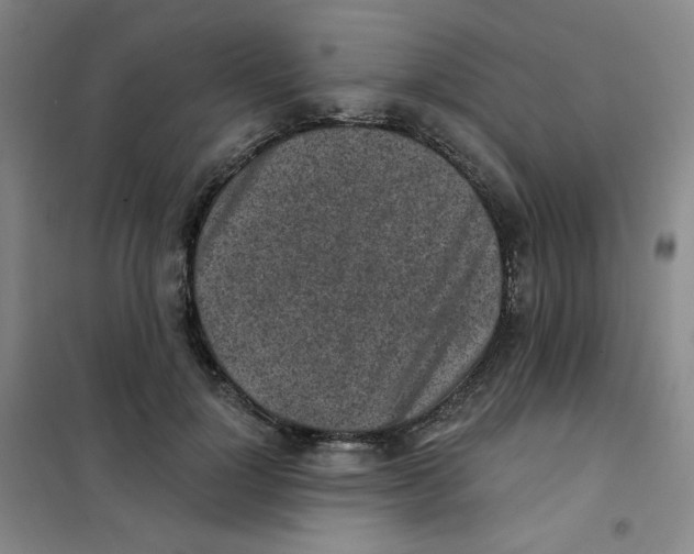 X0000101110748200807241135