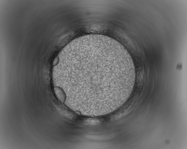 X0000101110749200807241135