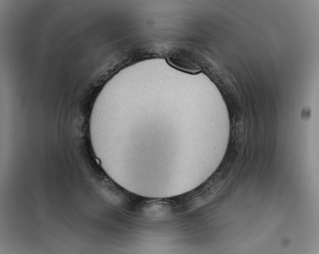 X0000101110750200807241135