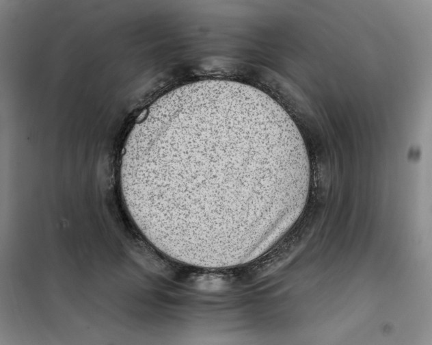 X0000101110751200807241135