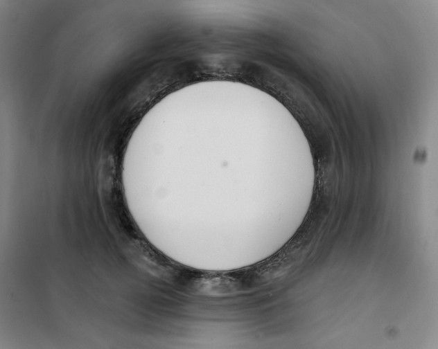 X0000101110752200807241135