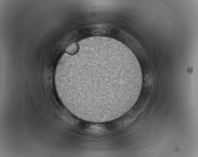 X0000101110753200807241135