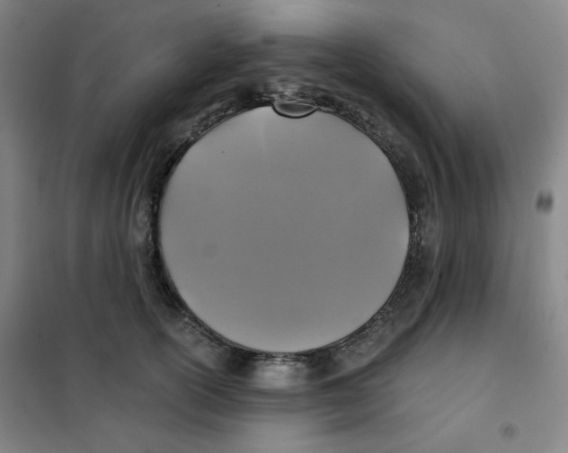 X0000101110754200807241135